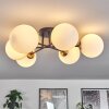 CHEHALIS Ceiling Light gold, black, 6-light sources