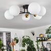 CHEHALIS Ceiling Light gold, black, 6-light sources