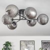 CHEHALIS Ceiling Light Smoke-coloured, 6-light sources