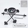 CHEHALIS Ceiling Light clear, 6-light sources