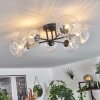 CHEHALIS Ceiling Light clear, 6-light sources