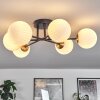 CHEHALIS Ceiling Light gold, black, 6-light sources