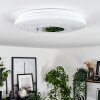 LUMSDEN Ceiling Light LED white, 1-light source, Motion sensor
