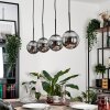 GASTOR Pendant Light - glass Smoke-coloured, 4-light sources