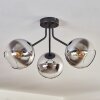 KOYOTO Ceiling Light - glass chrome, clear, Smoke-coloured, 3-light sources
