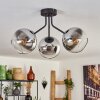 KOYOTO Ceiling Light - glass chrome, clear, Smoke-coloured, 3-light sources