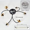 CHEHALIS Ceiling Light gold, black, 6-light sources
