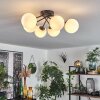 CHEHALIS Ceiling Light white, 6-light sources