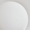 CHEHALIS Ceiling Light white, 6-light sources