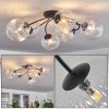 CHEHALIS Ceiling Light clear, 6-light sources