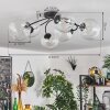 CHEHALIS Ceiling Light clear, 6-light sources