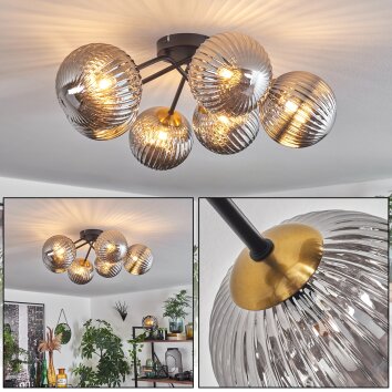 CHEHALIS Ceiling Light gold, black, 6-light sources