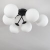 CHEHALIS Ceiling Light white, 6-light sources