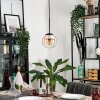 GASTOR Pendant Light - glass Amber, clear, 1-light source
