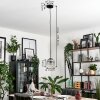 GASTOR Pendant Light - glass clear, Smoke-coloured, 1-light source