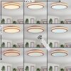 SOFO Ceiling Light LED white, 1-light source, Remote control