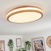SOFO Ceiling Light LED white, 1-light source, Remote control