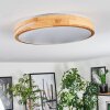 SOFO Ceiling Light LED white, 1-light source, Remote control