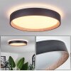 SASSEMTE Ceiling Light LED white, 1-light source