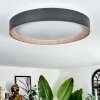SASSEMTE Ceiling Light LED white, 1-light source