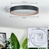 SASSEMTE Ceiling Light LED white, 1-light source
