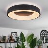 PALANKO Ceiling Light LED white, 1-light source, Remote control
