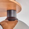 KOYOTO Ceiling Light - glass Ecru, black, 5-light sources
