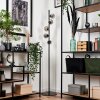 REMAISNIL Floor Lamp black, 5-light sources