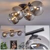 CHEHALIS Ceiling Light - glass clear, Smoke-coloured, 4-light sources