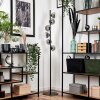 REMAISNIL Floor Lamp - glass black, 6-light sources