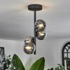 CHEHALIS Ceiling Light - glass clear, Smoke-coloured, 4-light sources