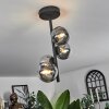 CHEHALIS Ceiling Light - glass clear, Smoke-coloured, 4-light sources