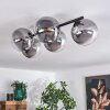 CHEHALIS Ceiling Light - glass clear, Smoke-coloured, 5-light sources