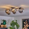 CHEHALIS Ceiling Light - glass clear, Smoke-coloured, 5-light sources