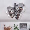 CHEHALIS Ceiling Light - glass clear, Smoke-coloured, 5-light sources