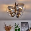CHEHALIS Ceiling Light - glass clear, Smoke-coloured, 5-light sources