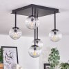 CHEHALIS Ceiling Light - glass clear, 5-light sources