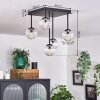 CHEHALIS Ceiling Light - glass clear, 5-light sources