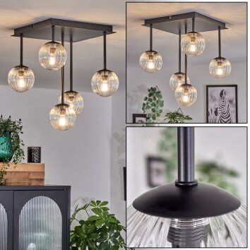 CHEHALIS Ceiling Light - glass clear, 5-light sources