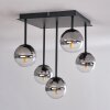 CHEHALIS Ceiling Light - glass clear, Smoke-coloured, 5-light sources