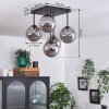 CHEHALIS Ceiling Light - glass Smoke-coloured, 5-light sources