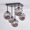 CHEHALIS Ceiling Light - glass Smoke-coloured, 5-light sources