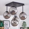 CHEHALIS Ceiling Light - glass Smoke-coloured, 5-light sources