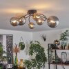 CHEHALIS Ceiling Light - glass gold, black, 6-light sources
