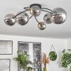 CHEHALIS Ceiling Light - glass gold, black, 6-light sources