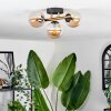 CHEHALIS Ceiling Light - glass gold, black, 3-light sources