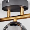 CHEHALIS Ceiling Light - glass gold, black, 3-light sources