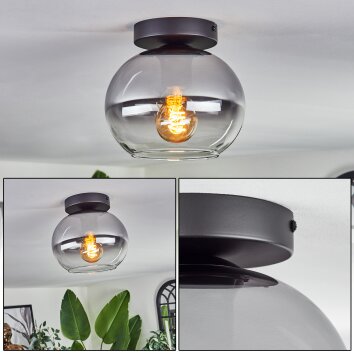 APEDO Ceiling Light - glass clear, Smoke-coloured, 1-light source