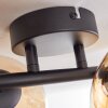 CHEHALIS Ceiling Light - glass Amber, 4-light sources