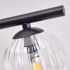 CHEHALIS Ceiling Light - glass clear, 4-light sources
